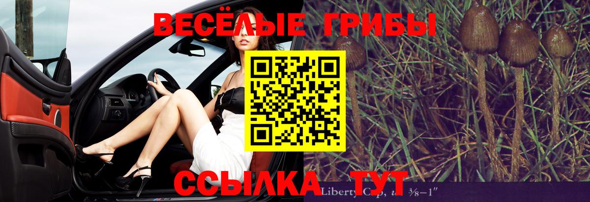 Кохма  Галлюциногенные грибы Magic Shrooms  как найти закладки  Псилоцибиновые грибы Psilocybine cubensis  Вход с VPN 